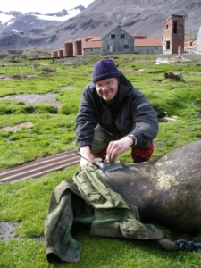 VP8DIF tagging a seal at Husvik